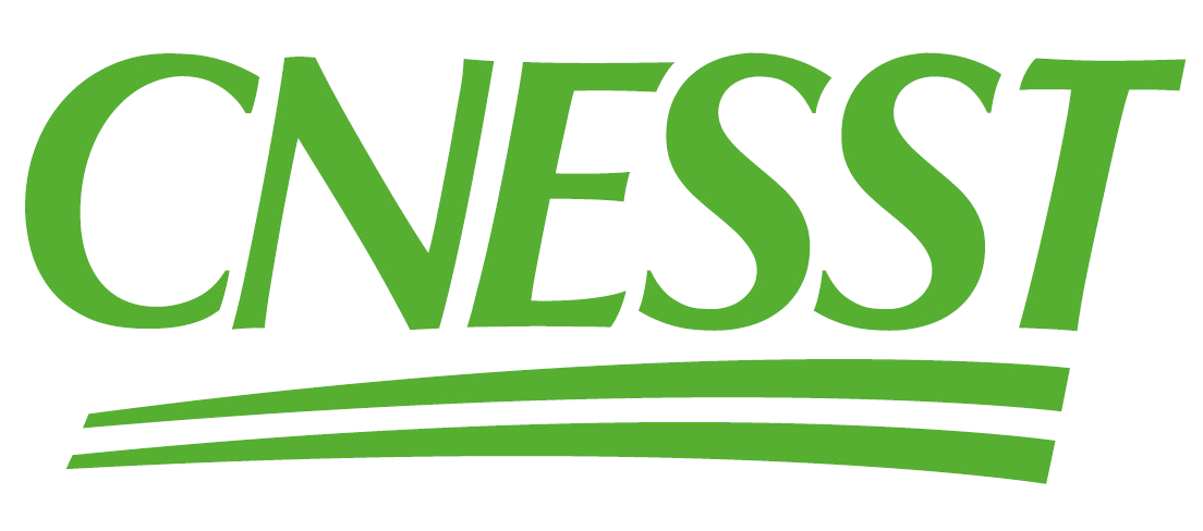 logo CSST